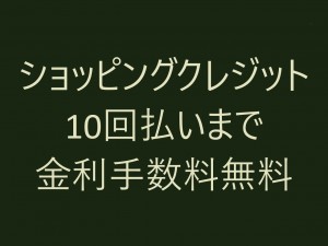 ショッピングクレジット分割払い 10回まで金利手数料無料