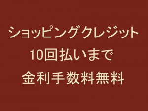 ショッピングクレジット分割払い 10回まで金利手数料無料